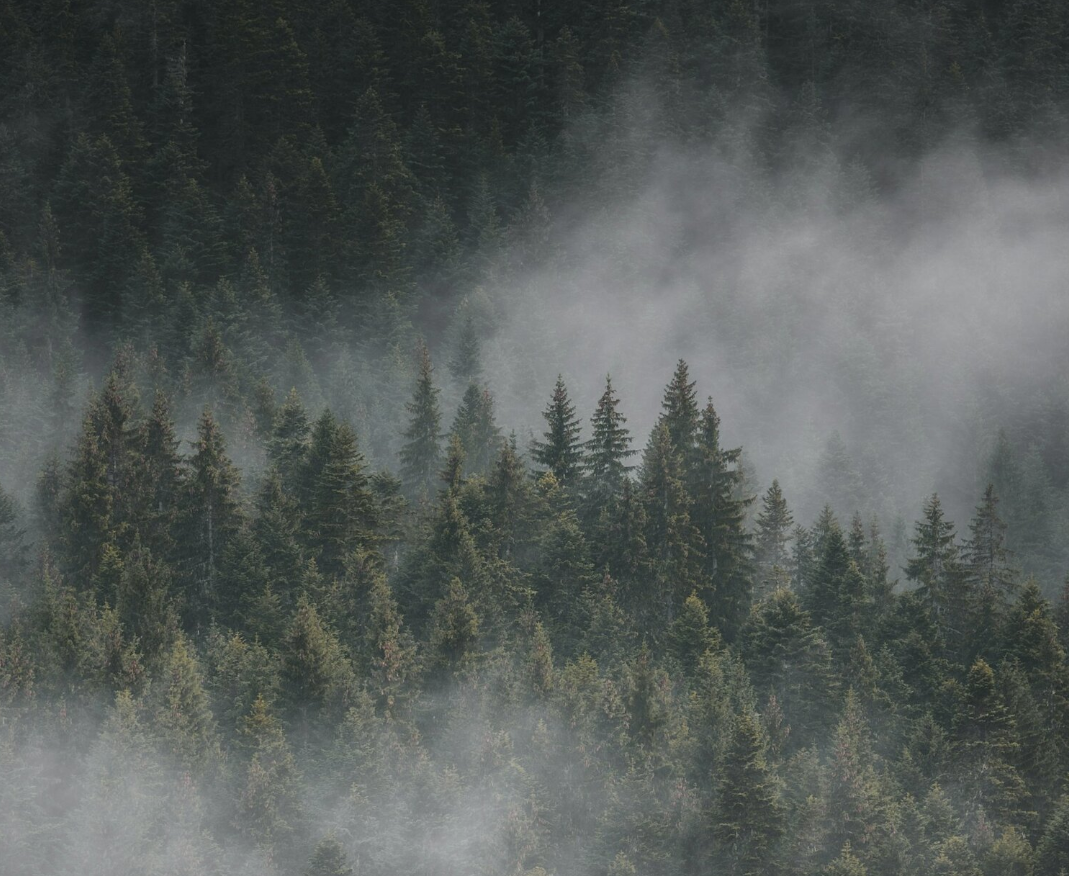 Screenshot 2024-01-21 122726.png