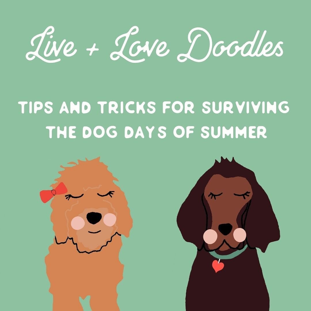 Just a reminder for our Live + Love Doodles fam as we face heat across the country!