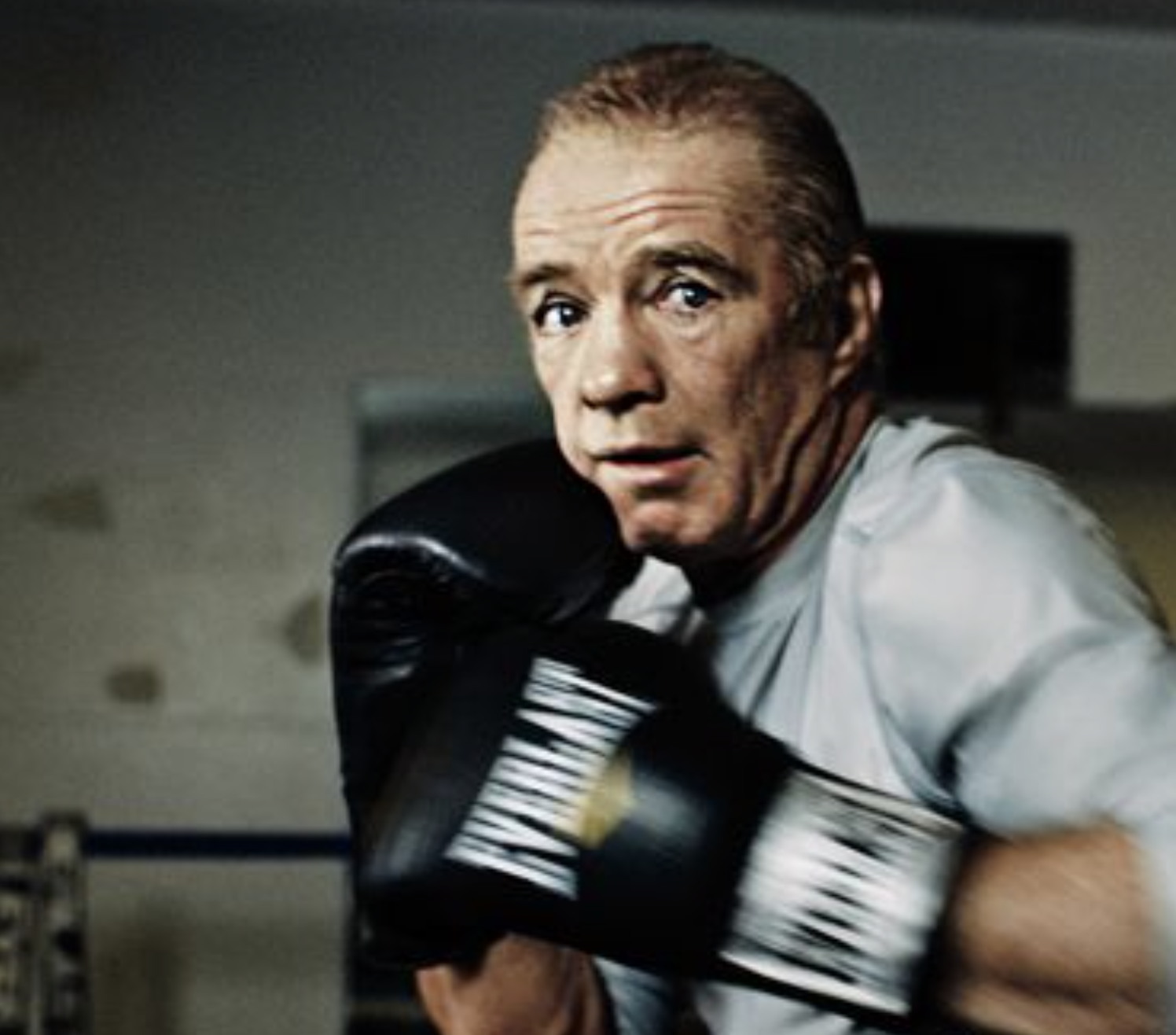 'The Fighter' and the Damage Done