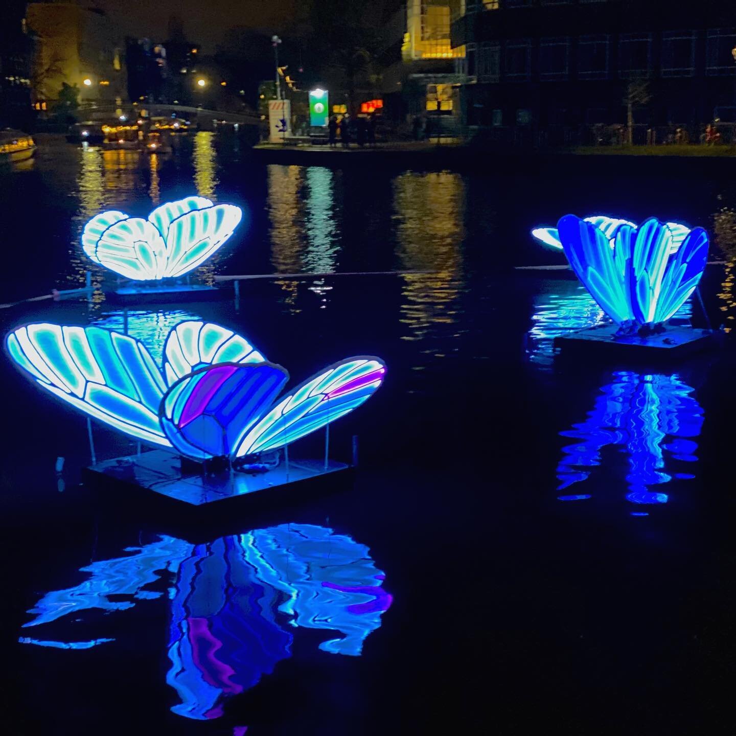 A few pictures from the Amsterdam Light Festival... now if only there was some music with them