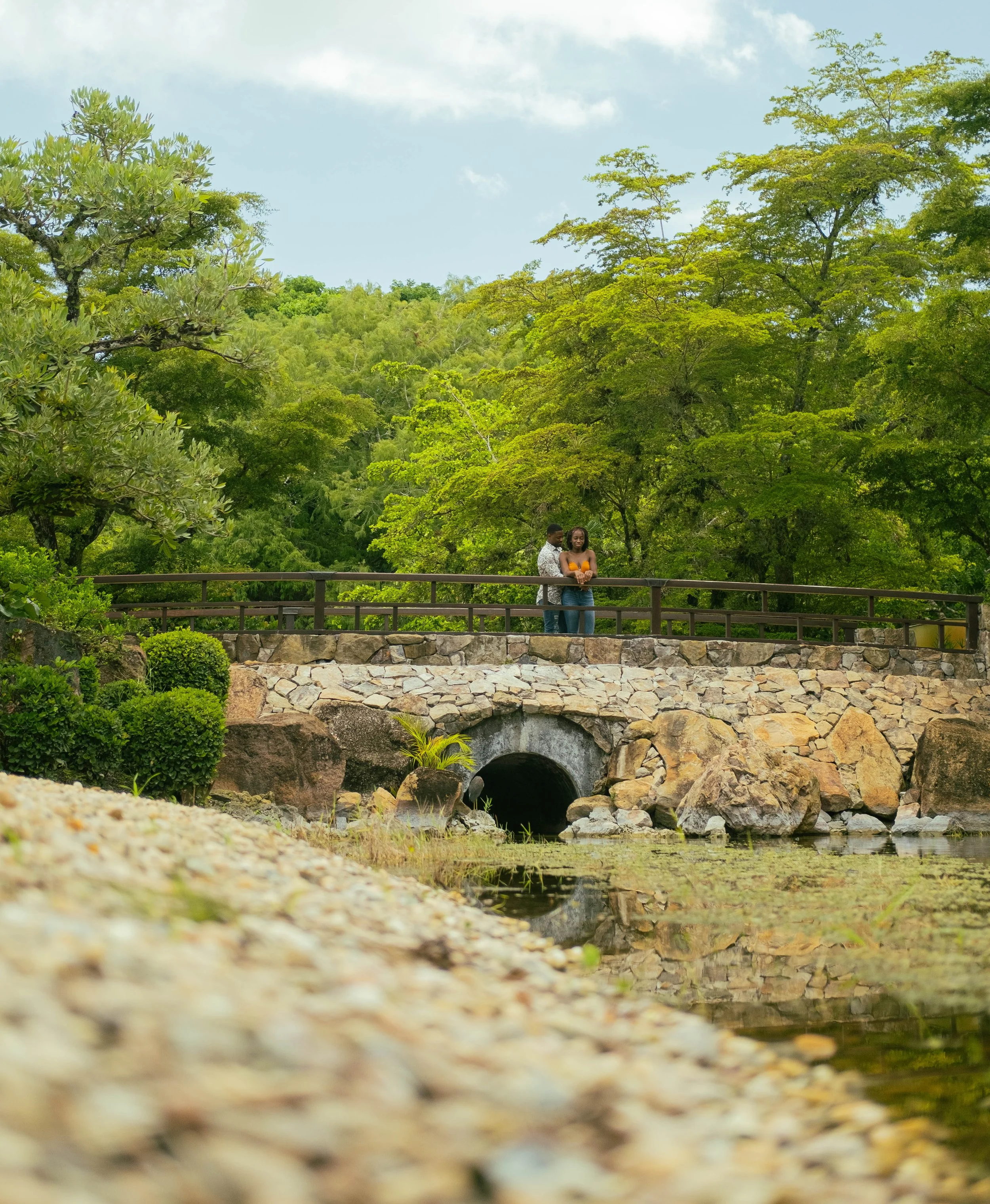 DSCF6181.jpg