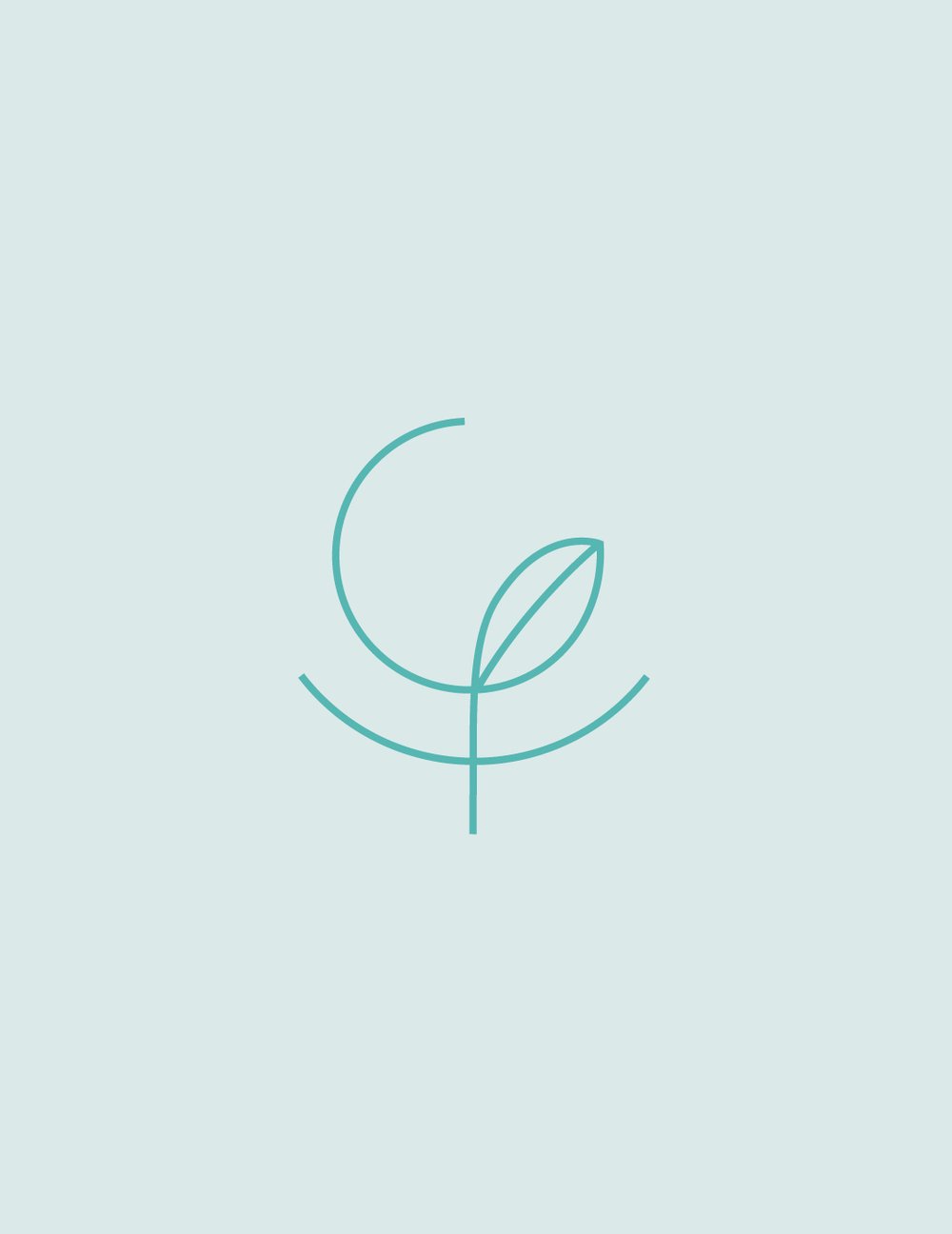 Gingermint Brand Identity Design — Effie Ana Design