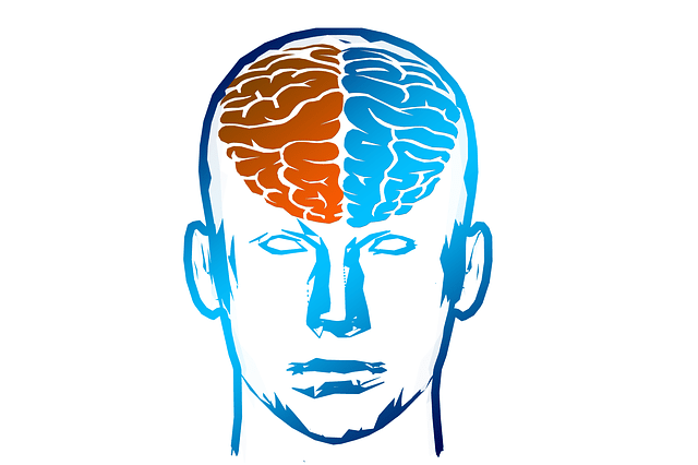 COUNSELING CONNECTIONS brain left right hemisphere bilateral stimulation-min.png