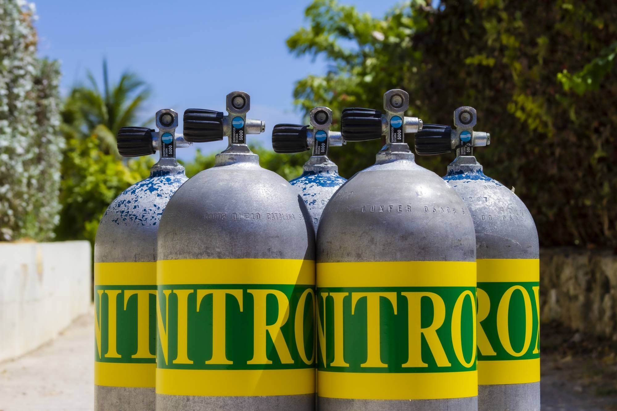diveROATANnet-enriched-air-nitrox-tanks-standing-on-the-street-with-a-palmtree-in-the-back.jpg