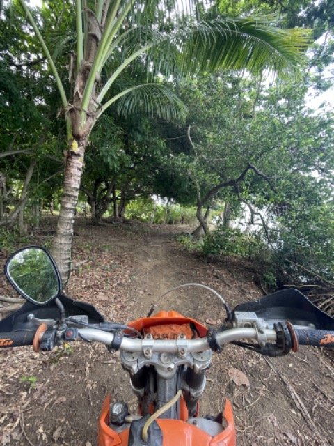 View from a dirt bike's handlebars on a forest trail