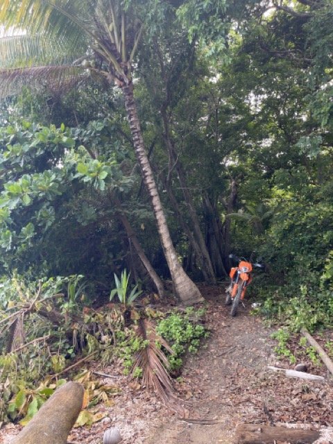 Orange motorcycle on a forest trail surrounded by lush green trees and foliage.