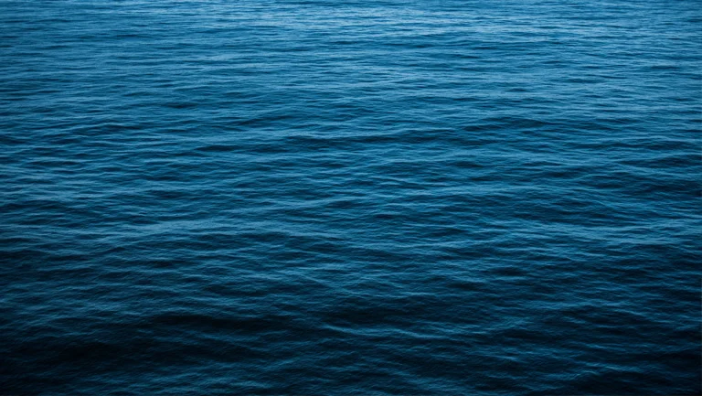 Transient (Copy)