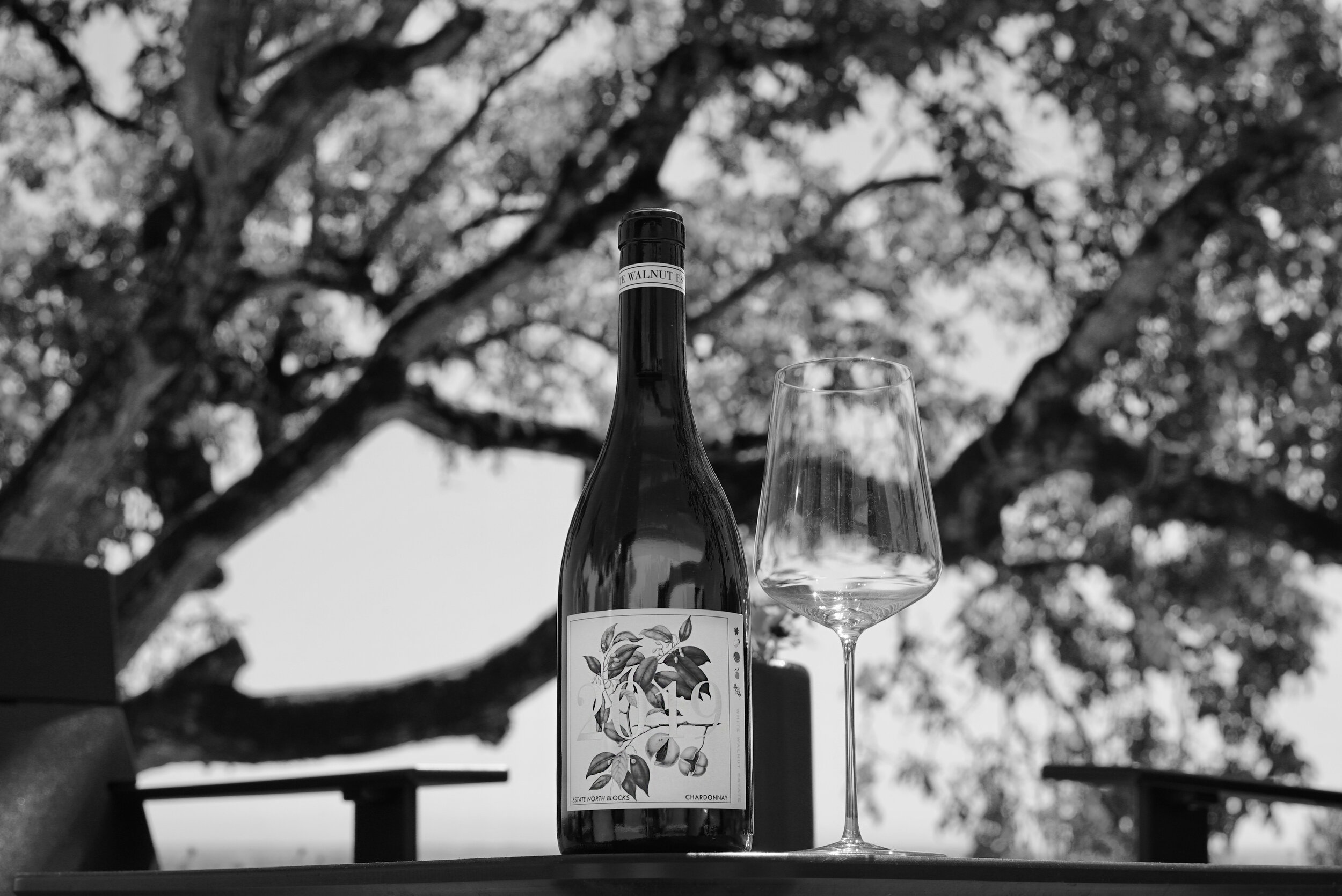 Bottle and glass of White Walnut wine