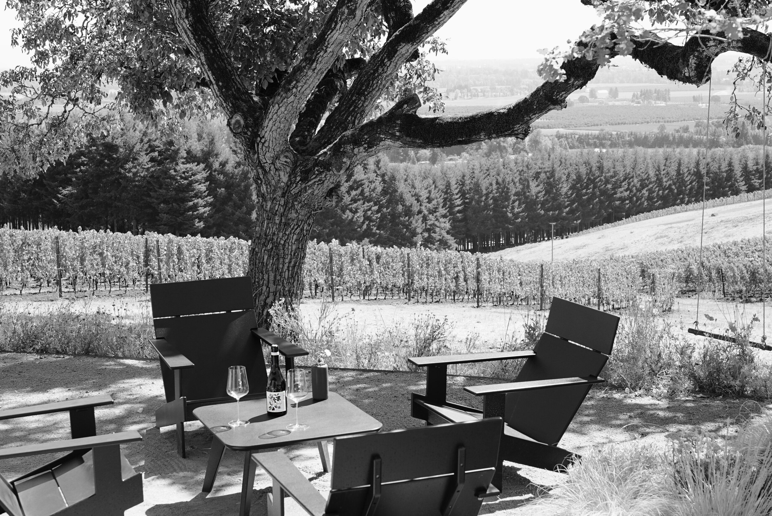 Outdoor tasting area at White Walnut