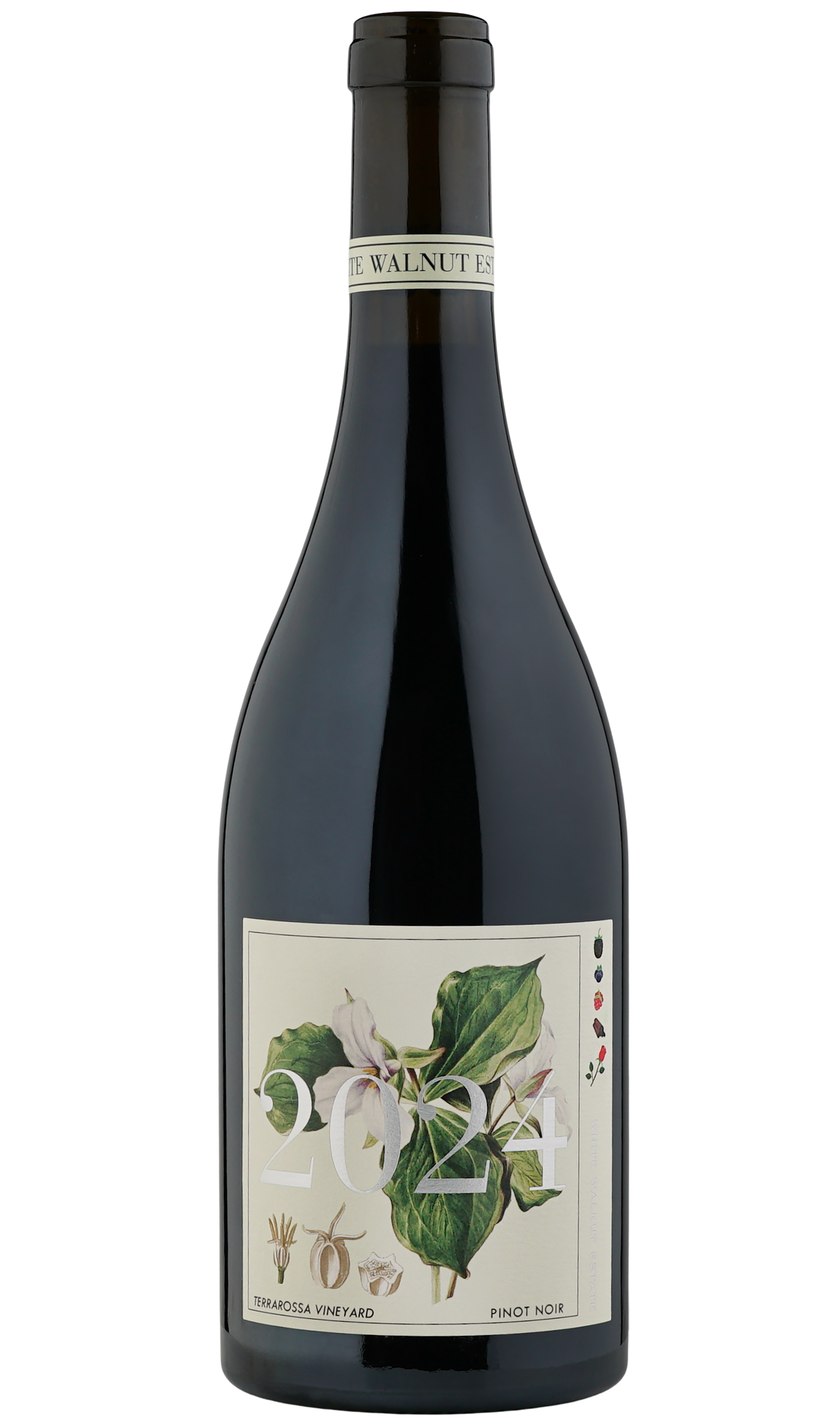 2024 White Walnut Estate Terrarossa Vineyard Pinot Noir