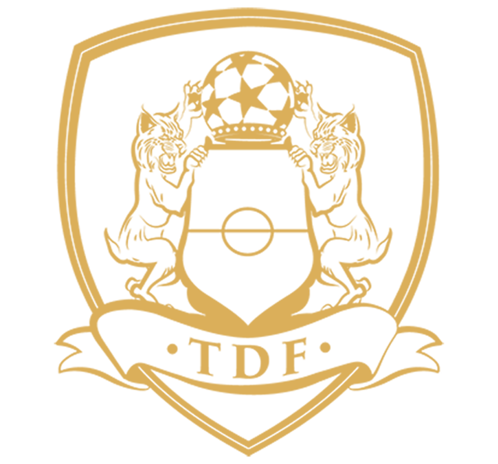 True Division Football
