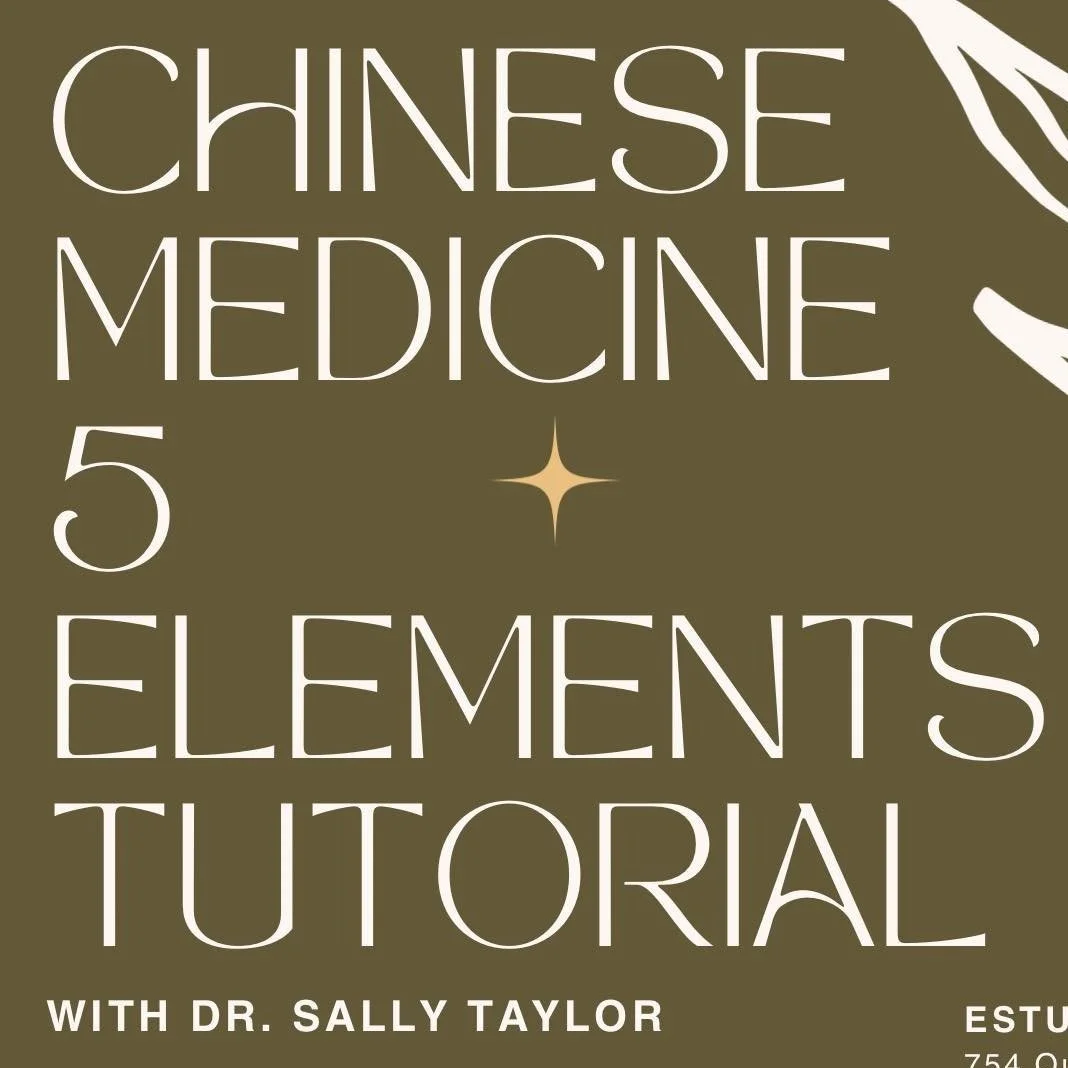 5 Elements Tutorial with TCM Doctor Sally Taylor - April 28th - at Estuary Yoga in North Melbourne