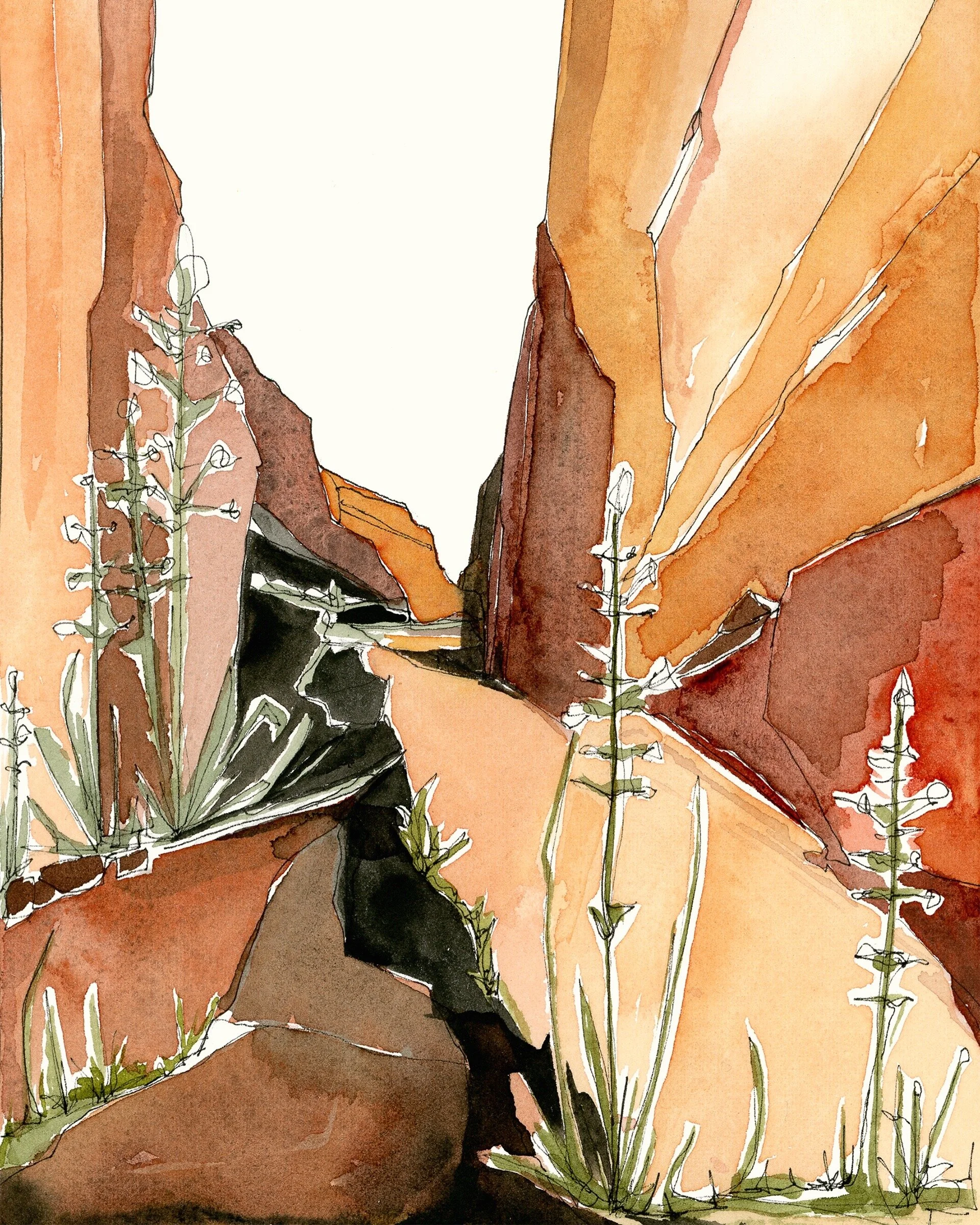 Scan554 ADJ 8x10.jpg