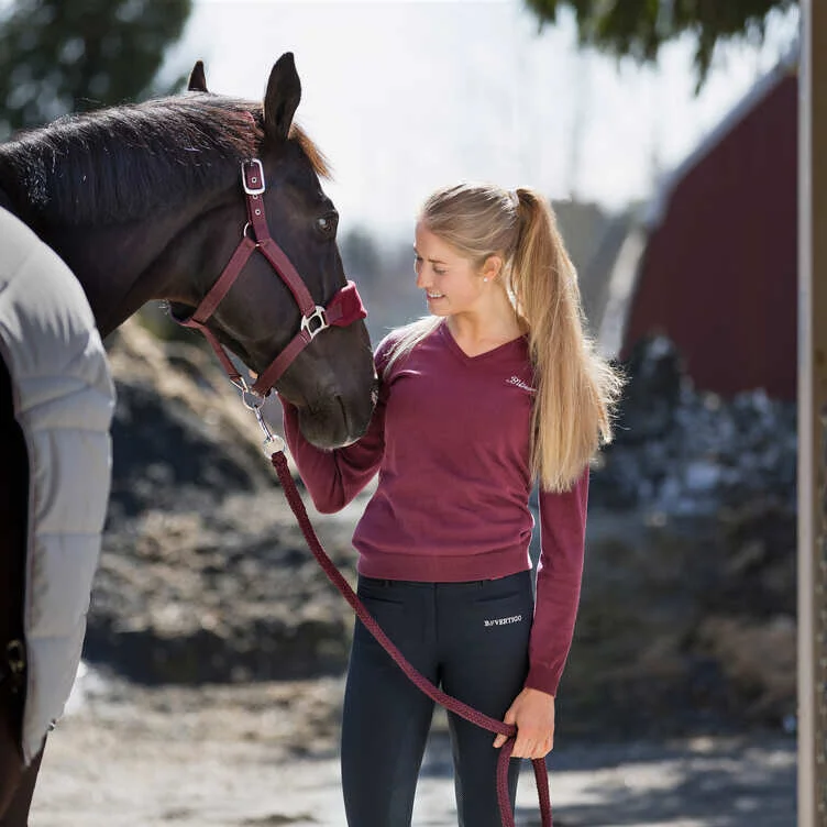 B Vertigo Nina Women’s Knitted V-Neck Sweater