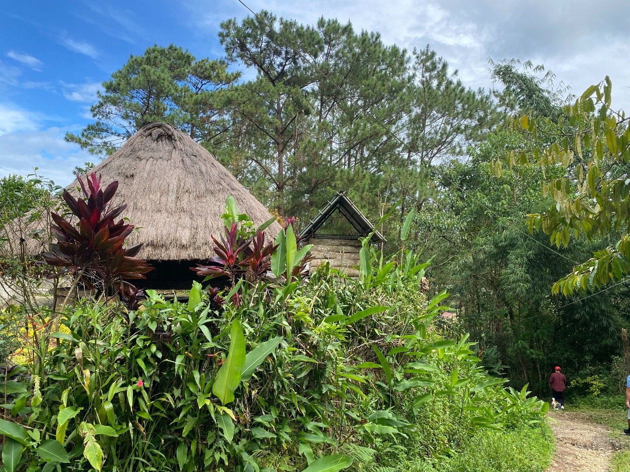 A typical Cordillera hut in Winaca Eco-cultural Village