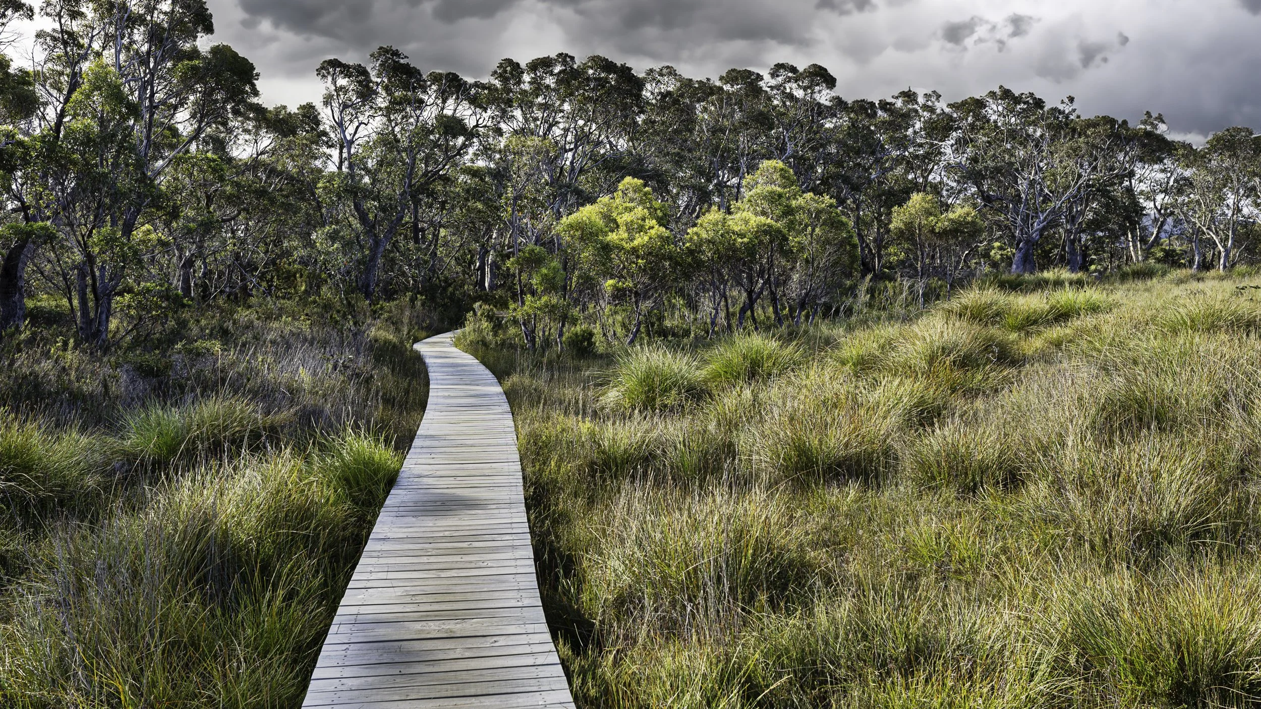 Gaynor_Shaw_Photography-3.jpg