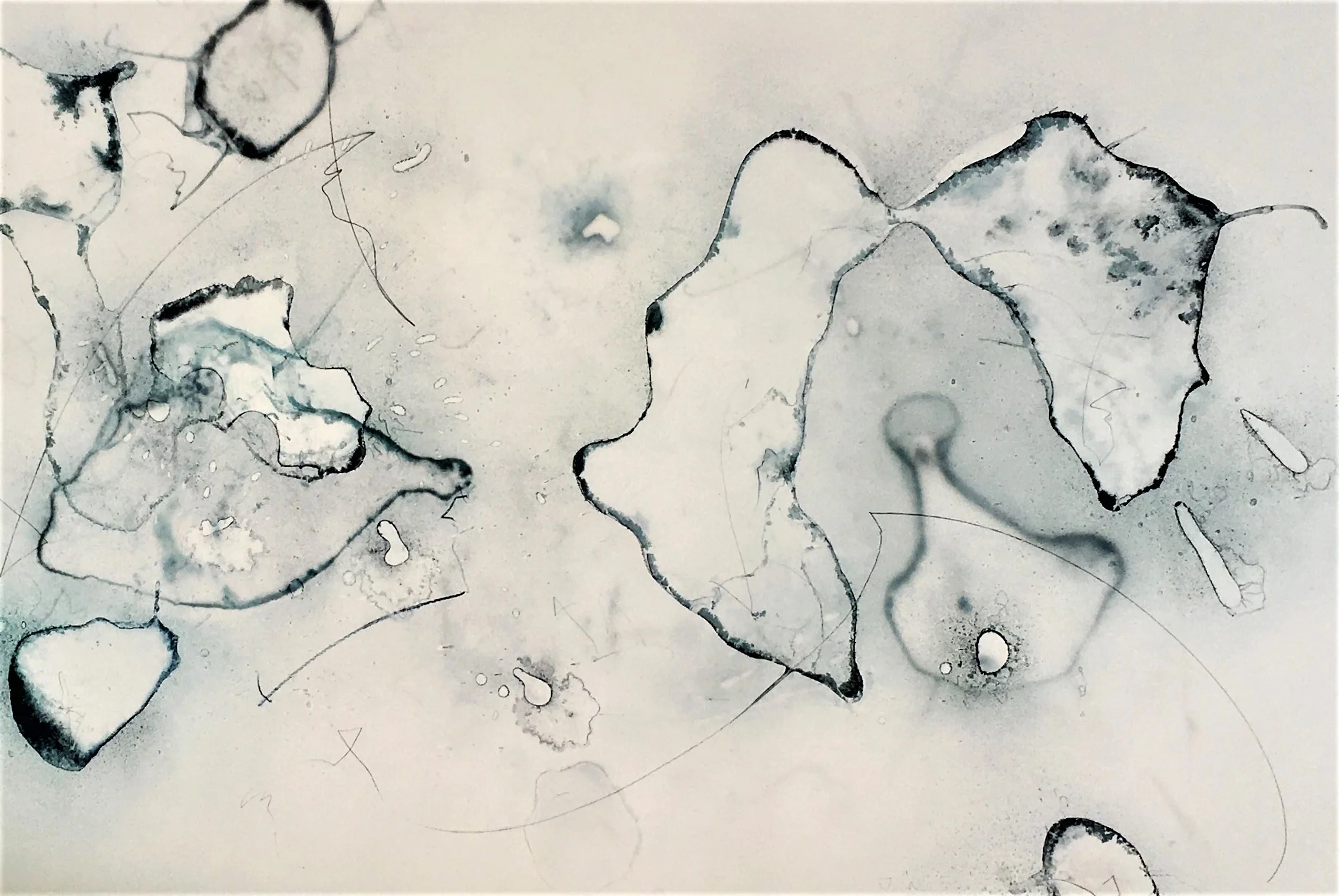 IMG_3411 (Edited) (2).JPG