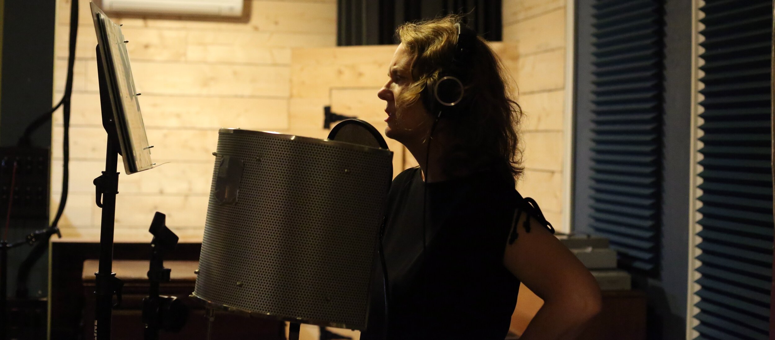 Meghan standing at mic 22.jpg