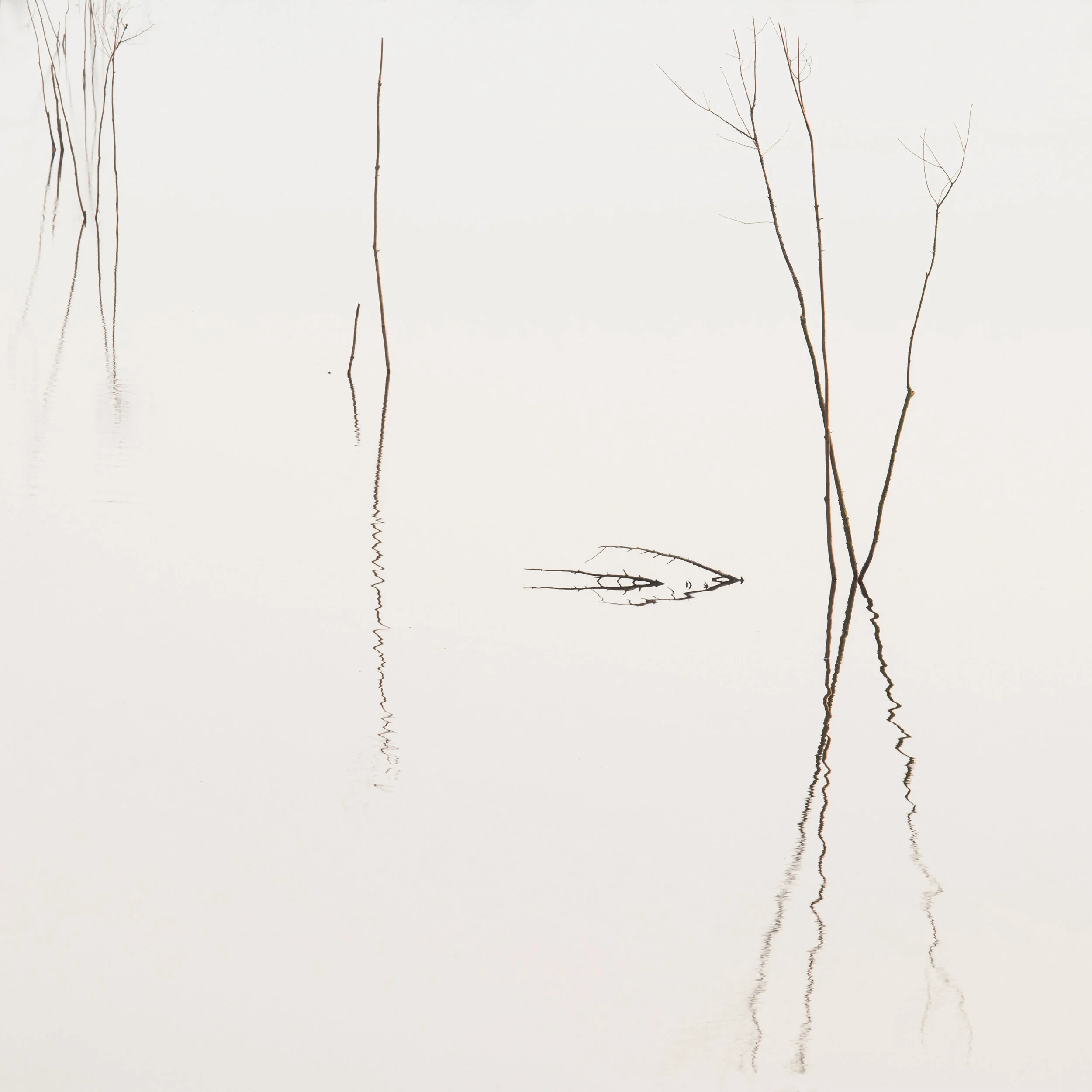 Sticks