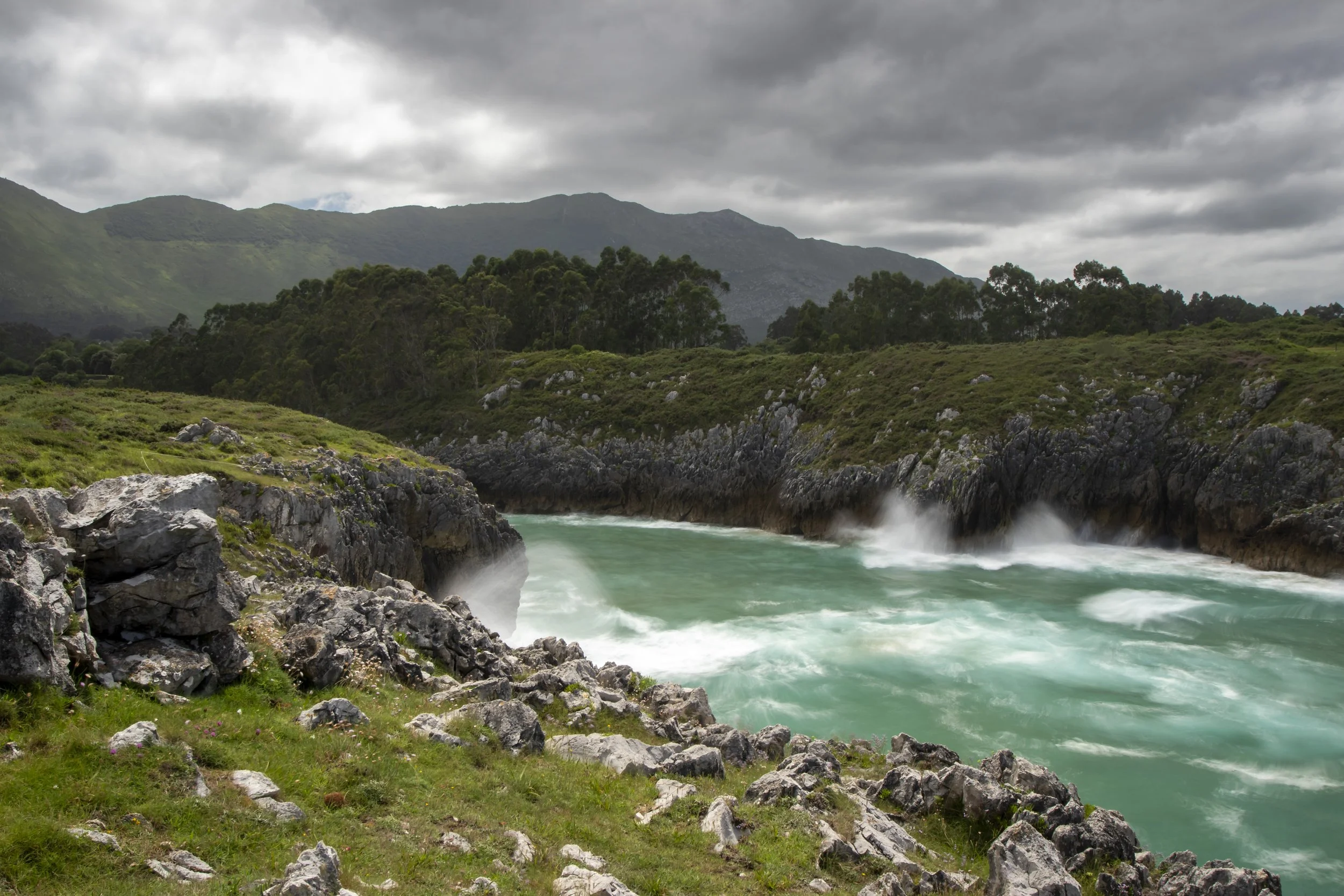 Bufones de Pria