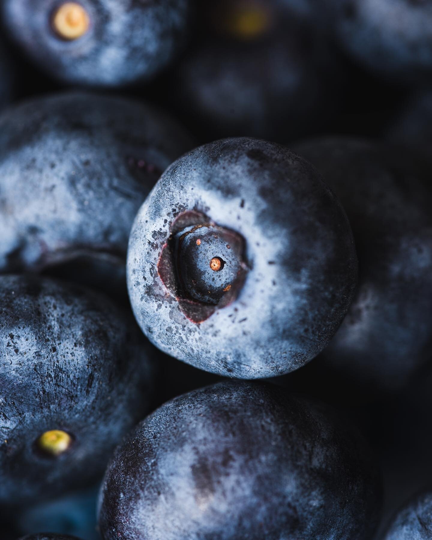 🫐
.
.
.
.
.
.
.
.
.
.
.
.
.
.
.
#blueberries #blueberry #foodphotography #fruitsphotography #fruits #macrolens #macrophotography #photography #photooftheday #photofood #blueberryphotoart