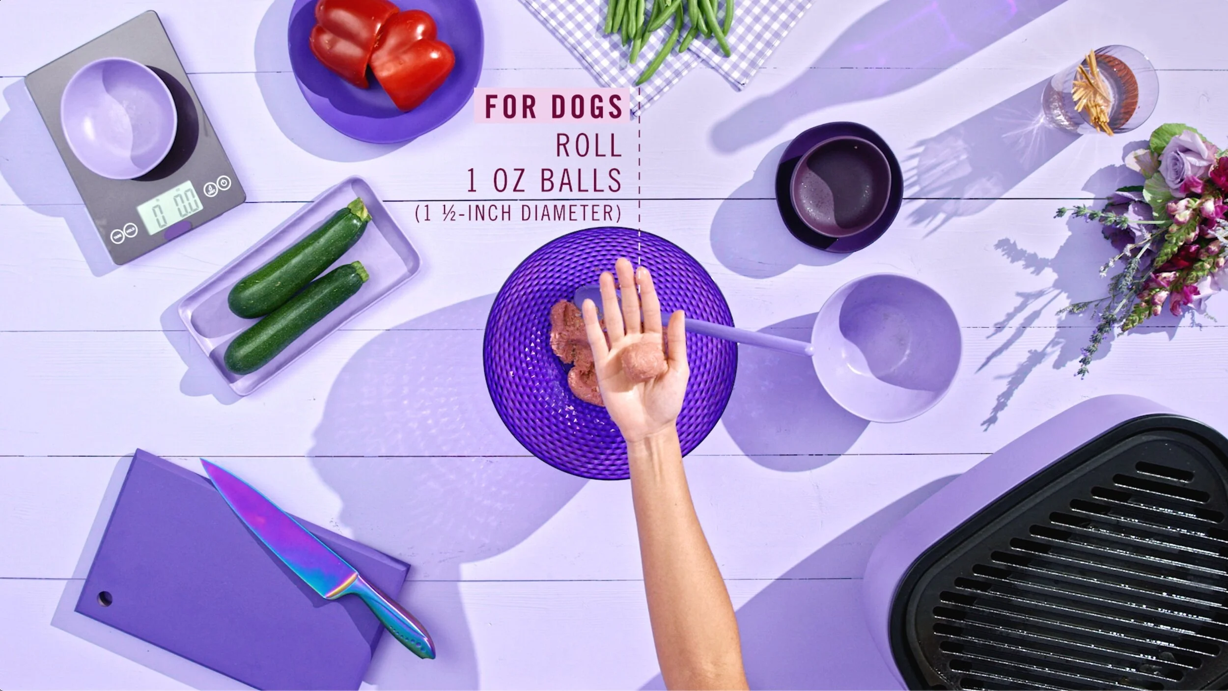 DIY Pet-Safe Kabobs for Dogs and Cats | Chewy Eats