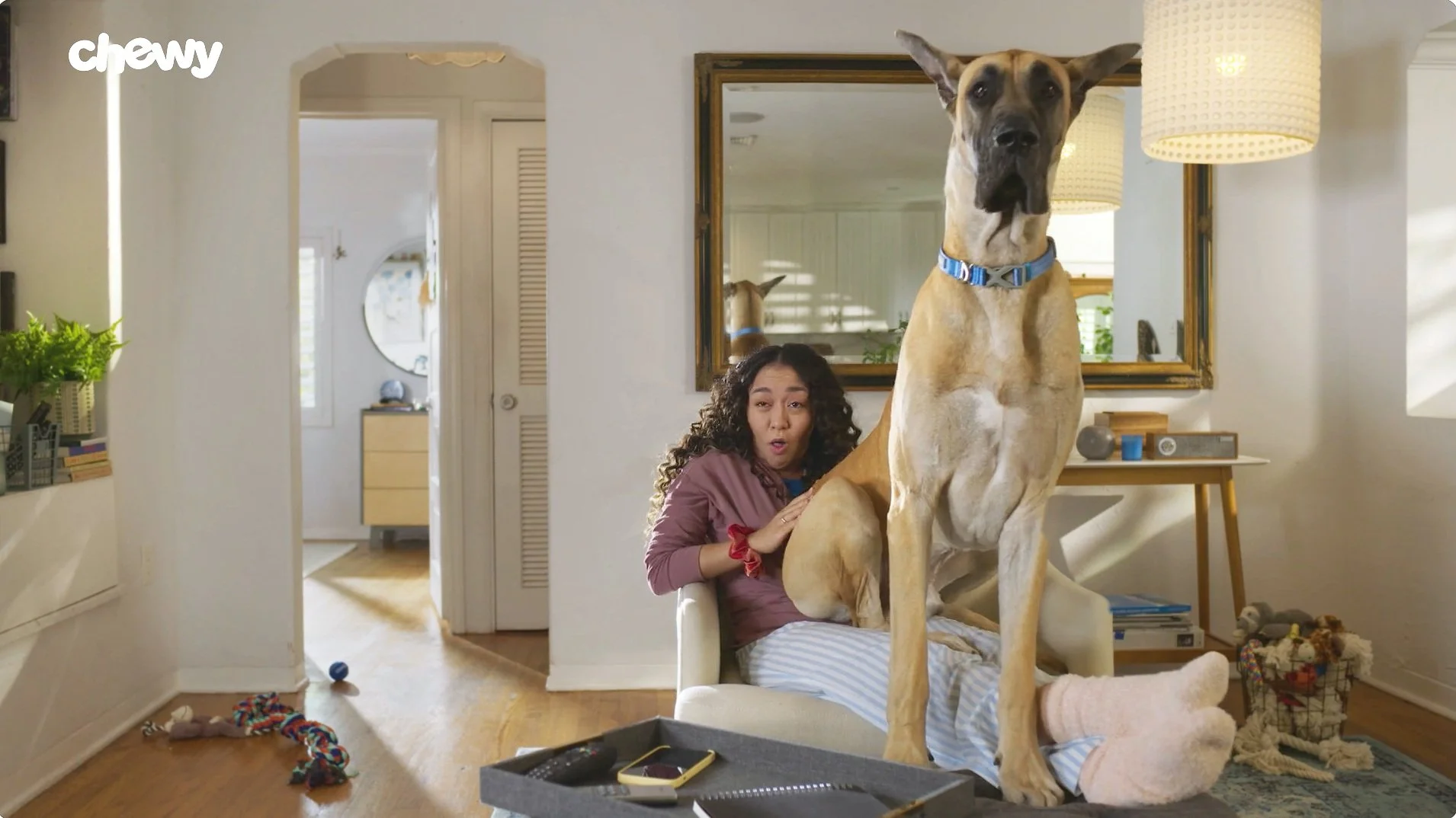 Mobile App Install 15s Digital Ad | Chewy