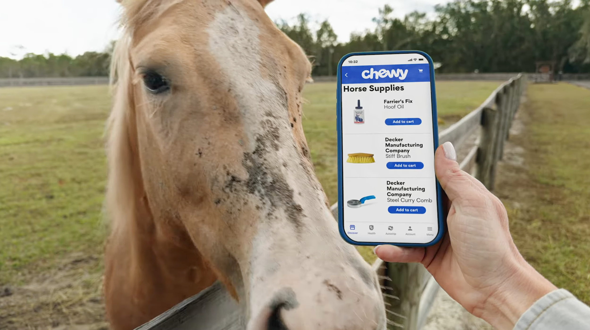 Spring Delivered | Chewy Equine