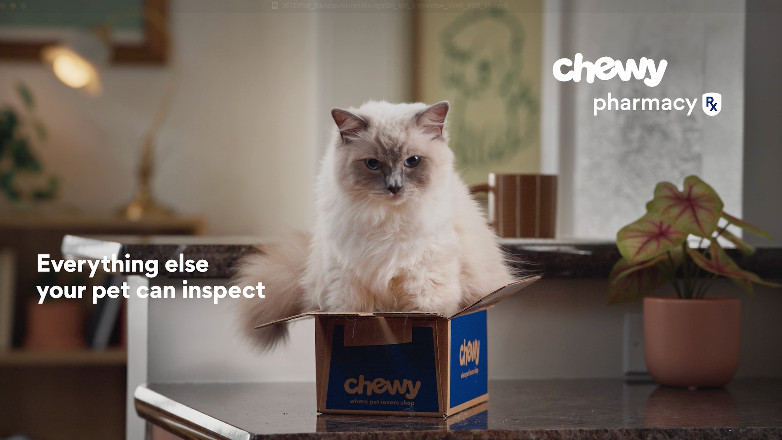 The Inspector | Chewy Pharmacy