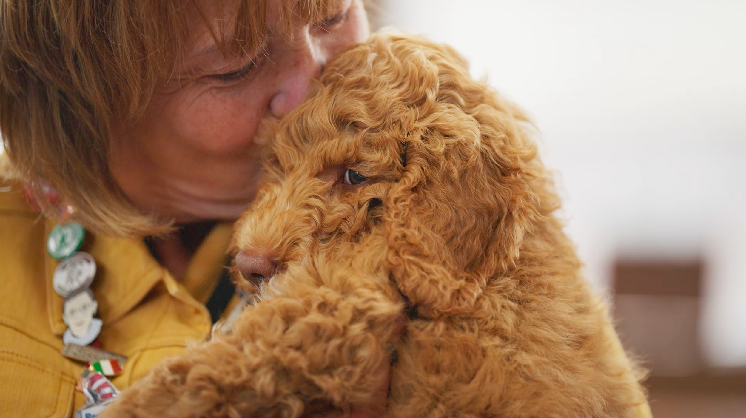 Chewy Claus Gifts Therapy Dog to Clifton School District