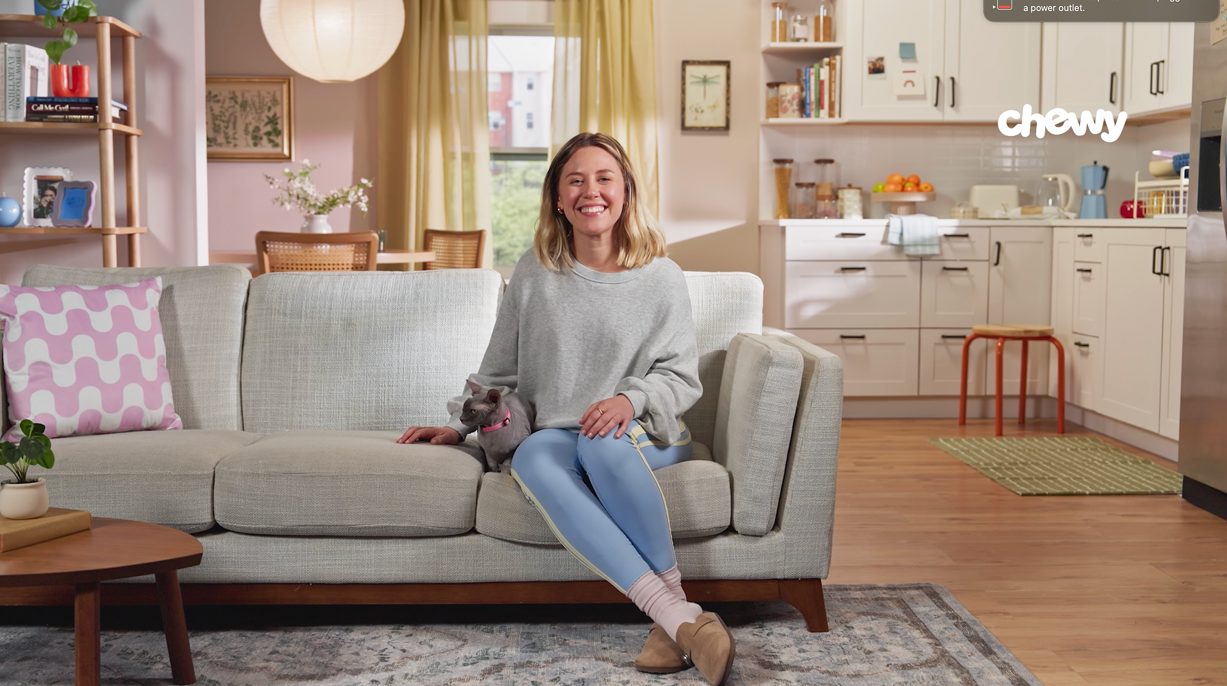 How To Treat Hot Spots on Cats | Chewtorials