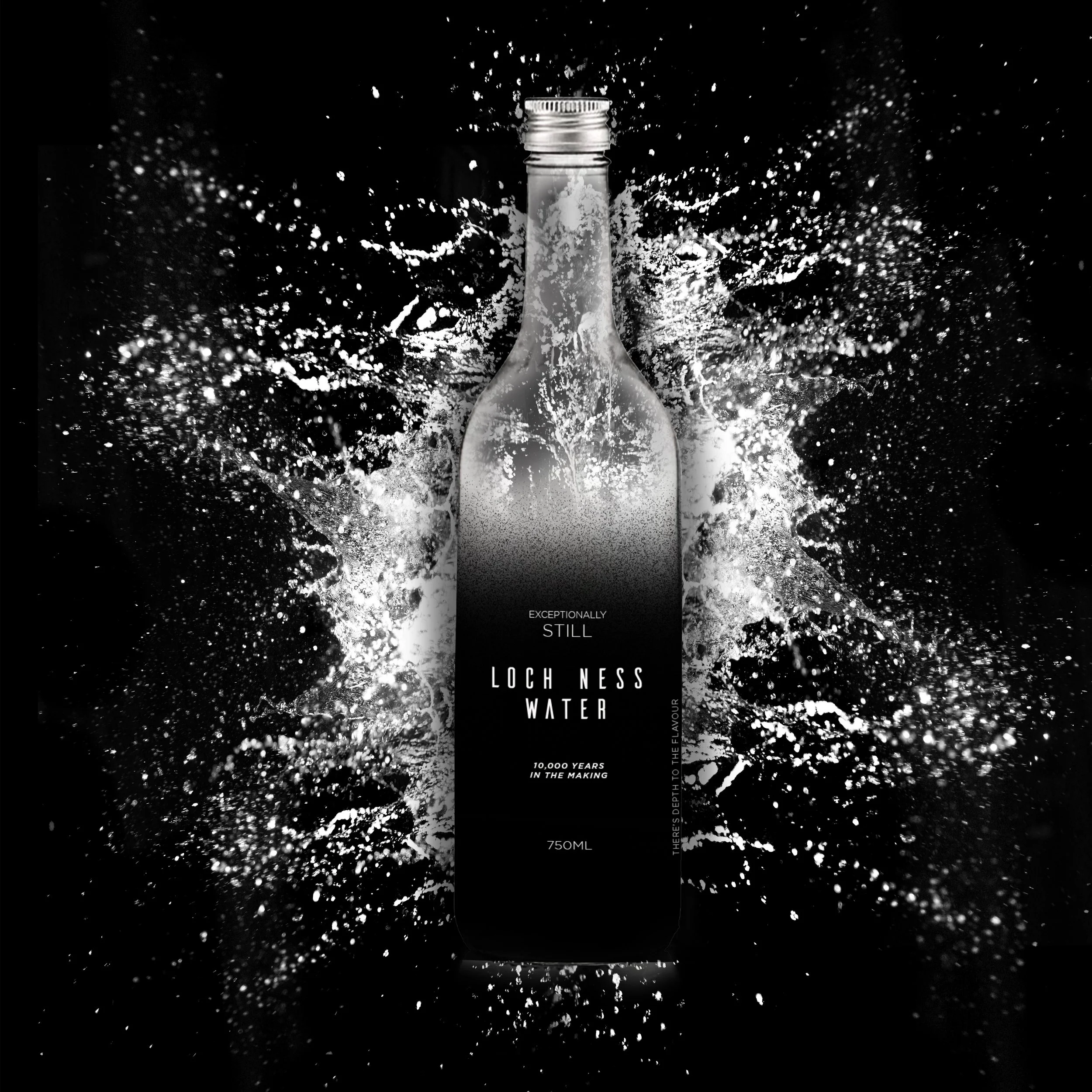 shutterstock_2682200127 copy.jpg