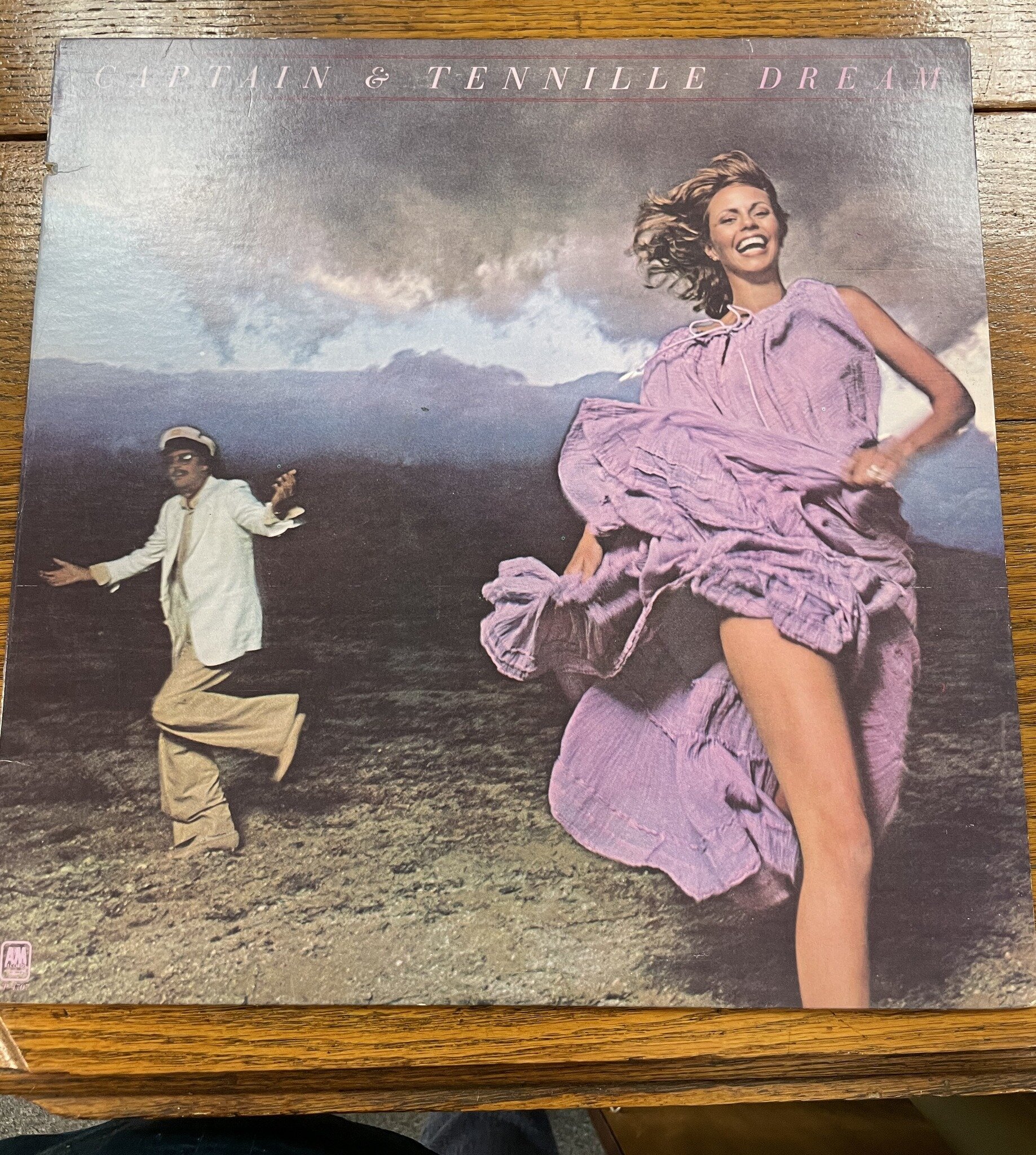 #musicmonday Captain and Tenille!  #heretodaymaybetomorrowmaybenot #antiques #decorandmore #vintage #rocantiques #roc #cdga #OMA #ontariomallantiques #vintageliving #vintage #collectibles #vintageny #antiquesnewyork
#rocantiques #vinyl #recordalbums