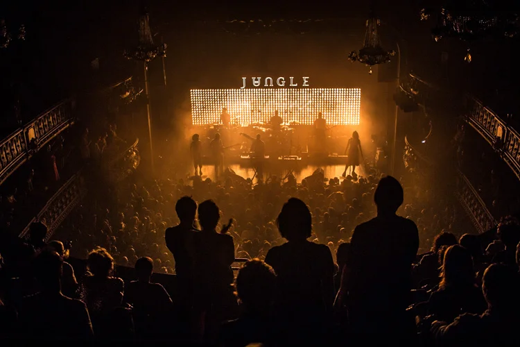 JUNGLE - 200518.jpg