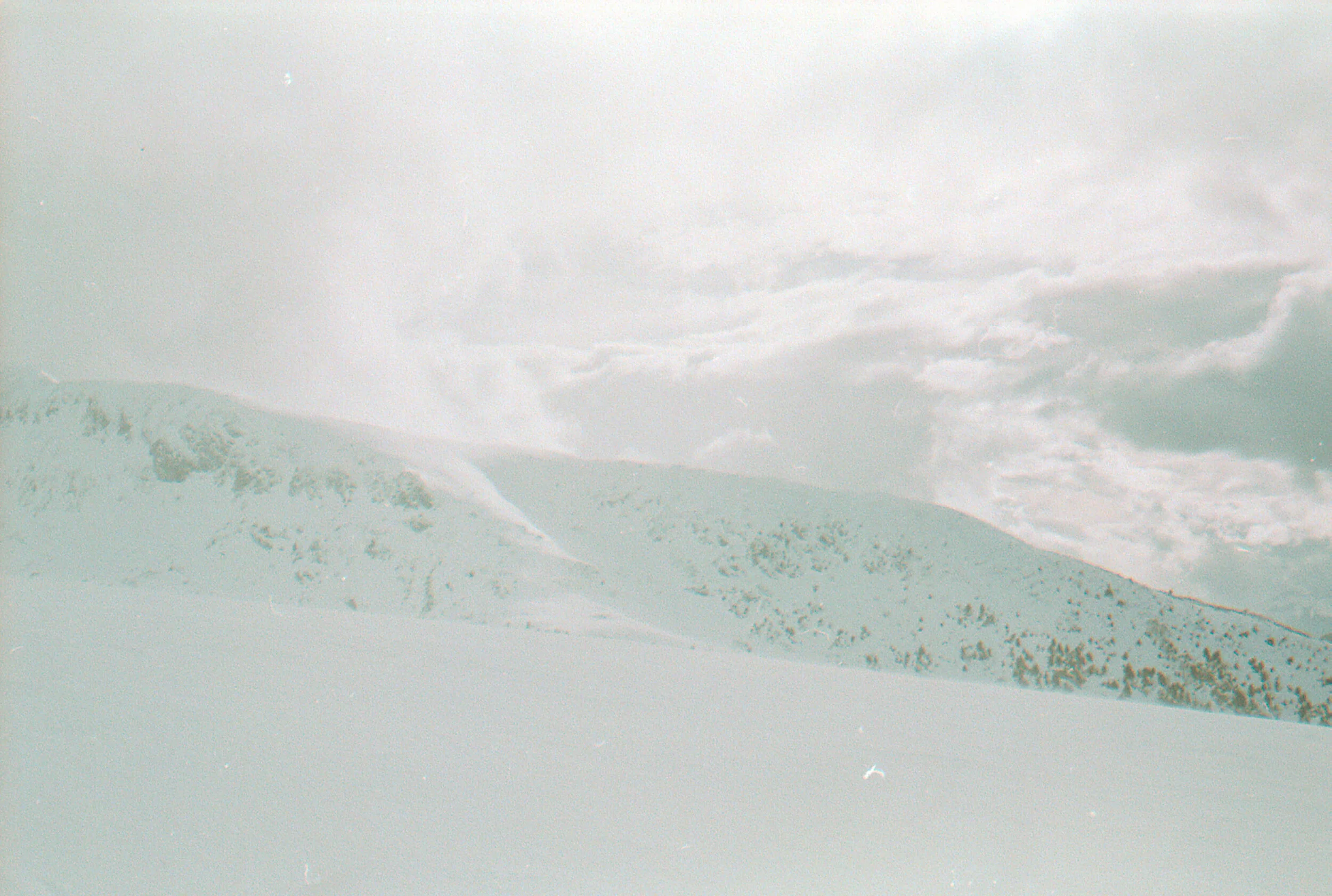 C200 x Canonet - Scan + NLP-24.JPG