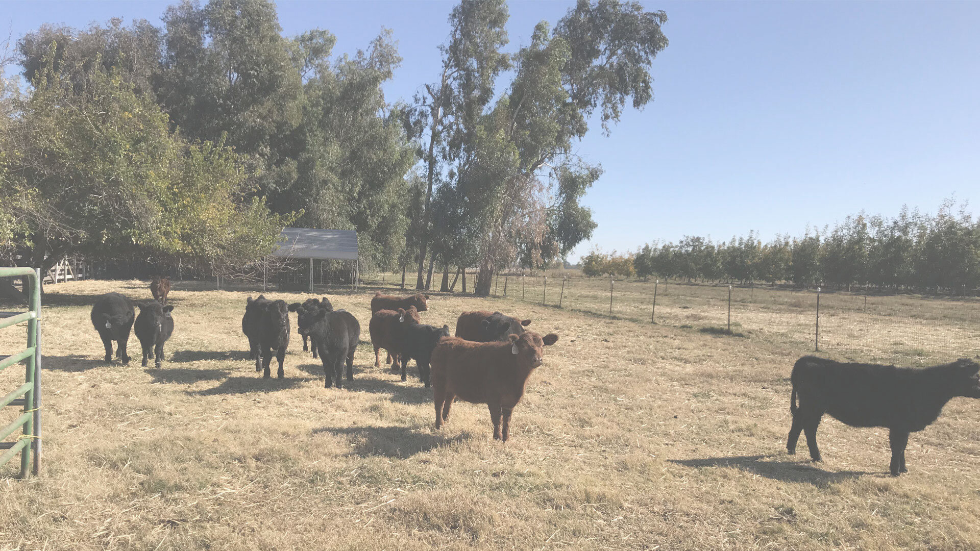 goal-butte-country-ranch.jpg