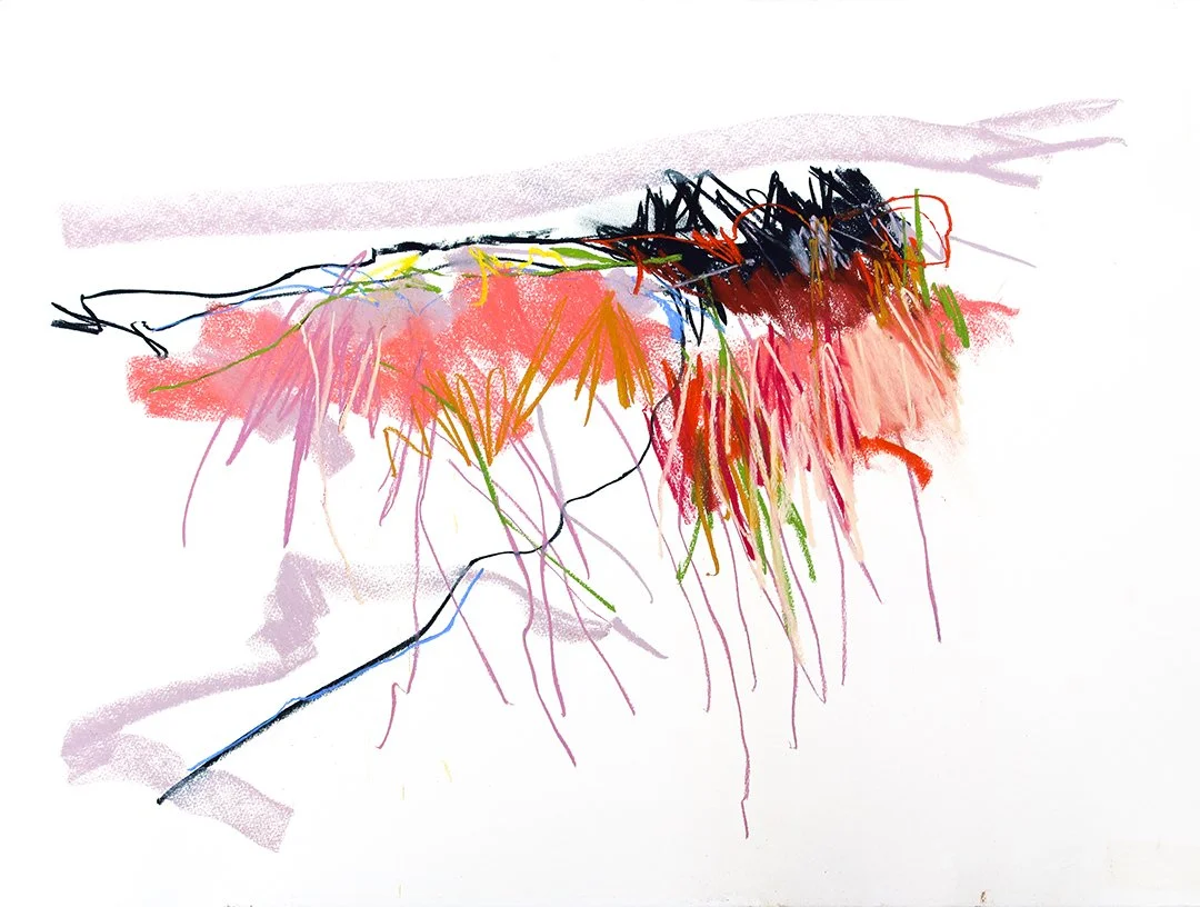 Pink summer grasses.jpg