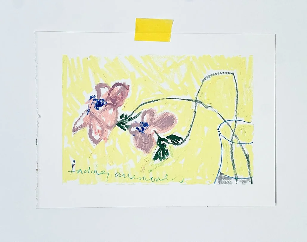 Fading anemones use.jpg