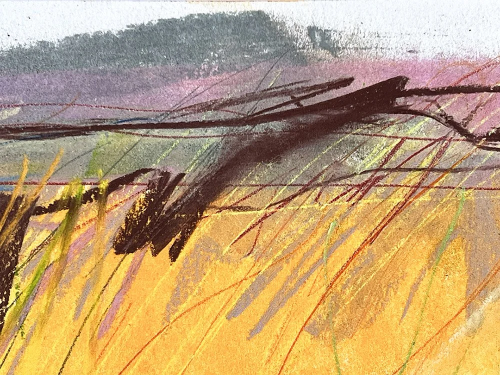 Yellow field d1.jpg