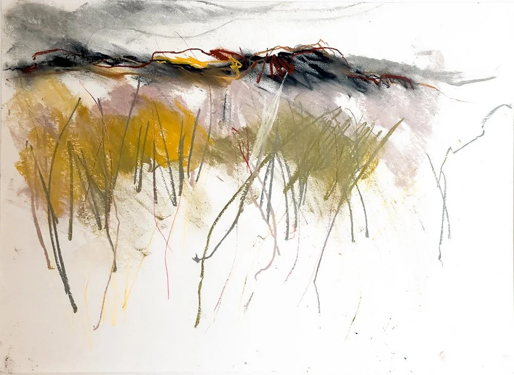 A heavy downpour web copy.jpg