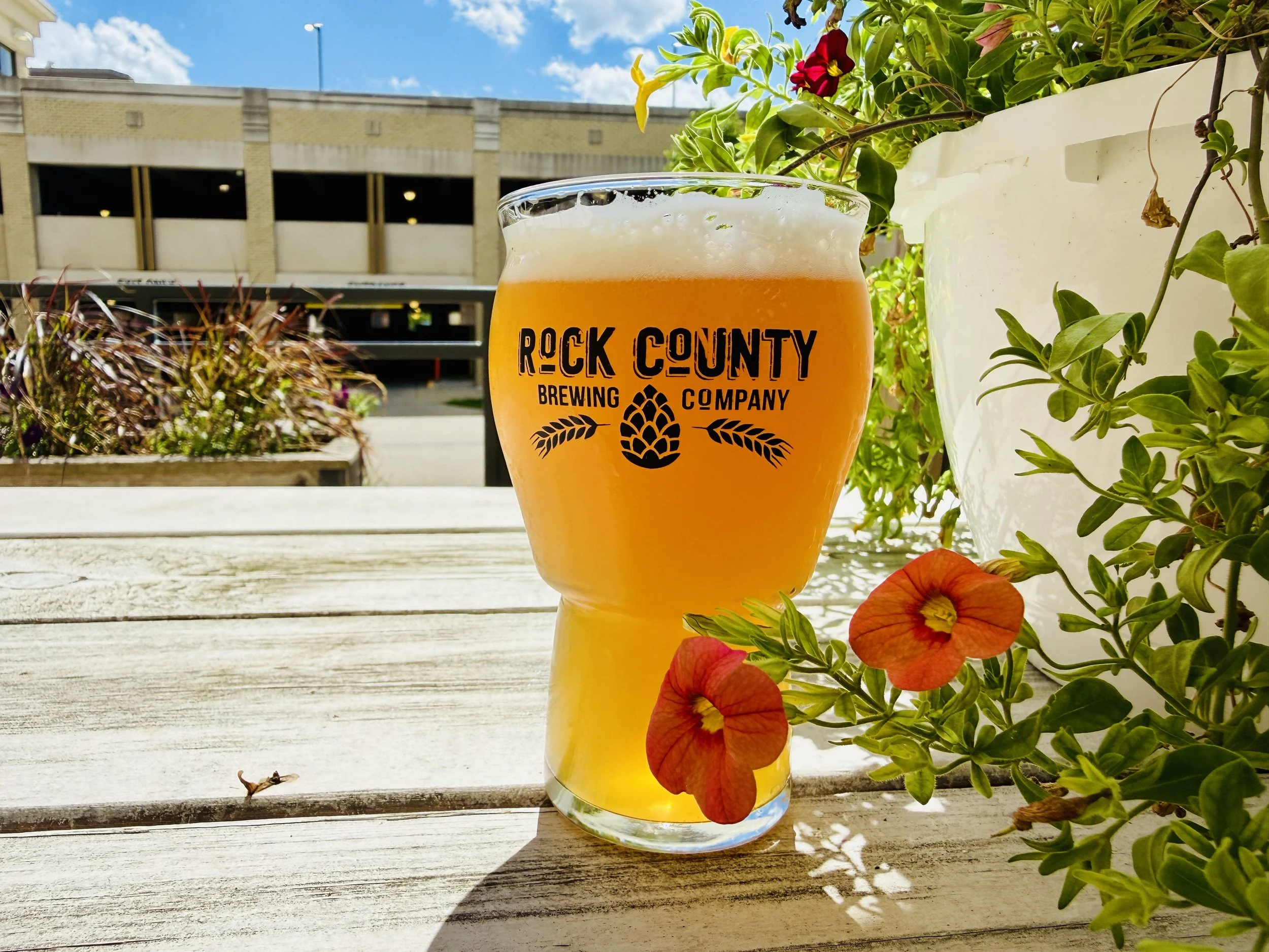 Beach Please Sour - 6.6%