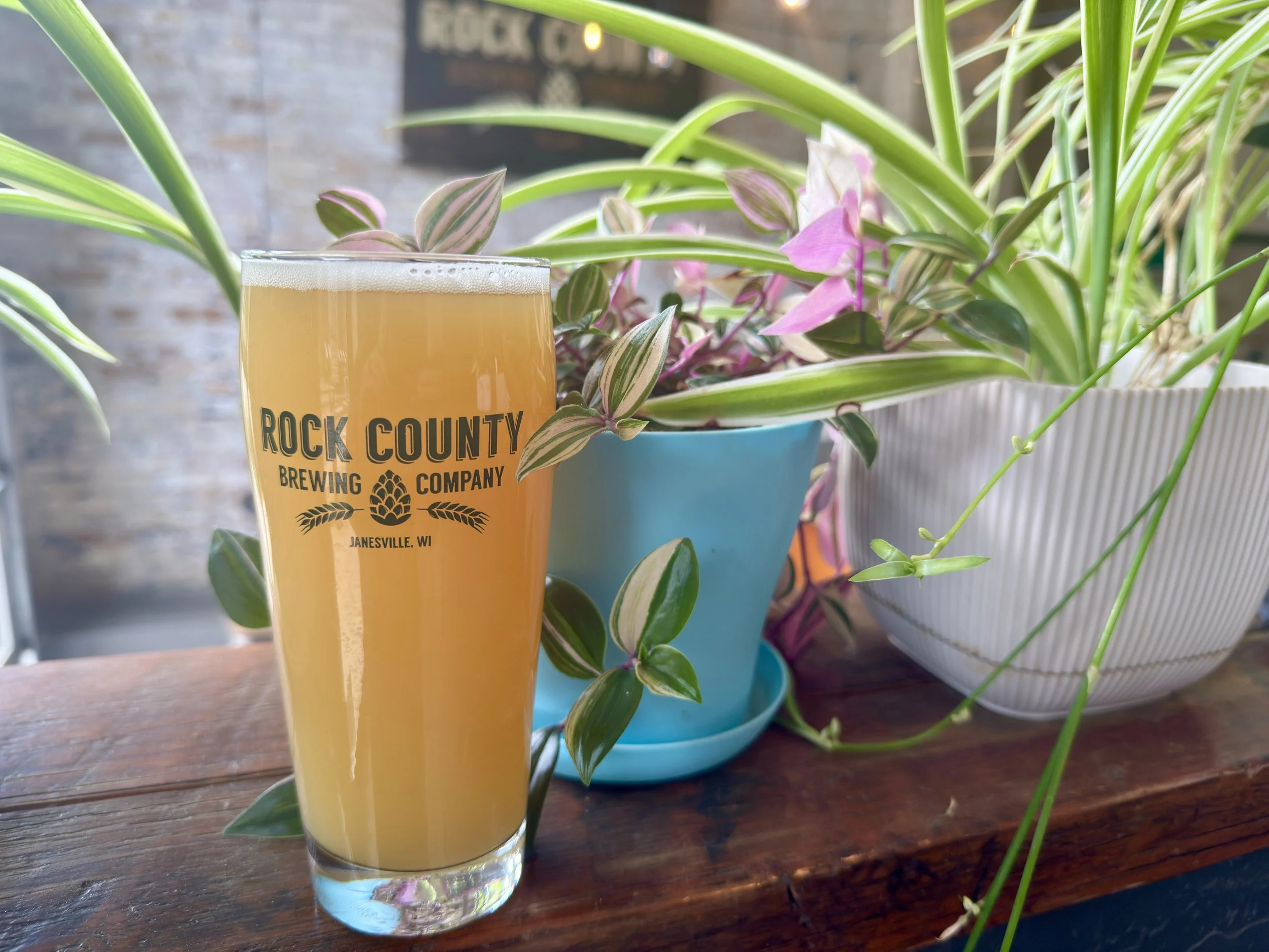 10 Day IPA - 6.7%