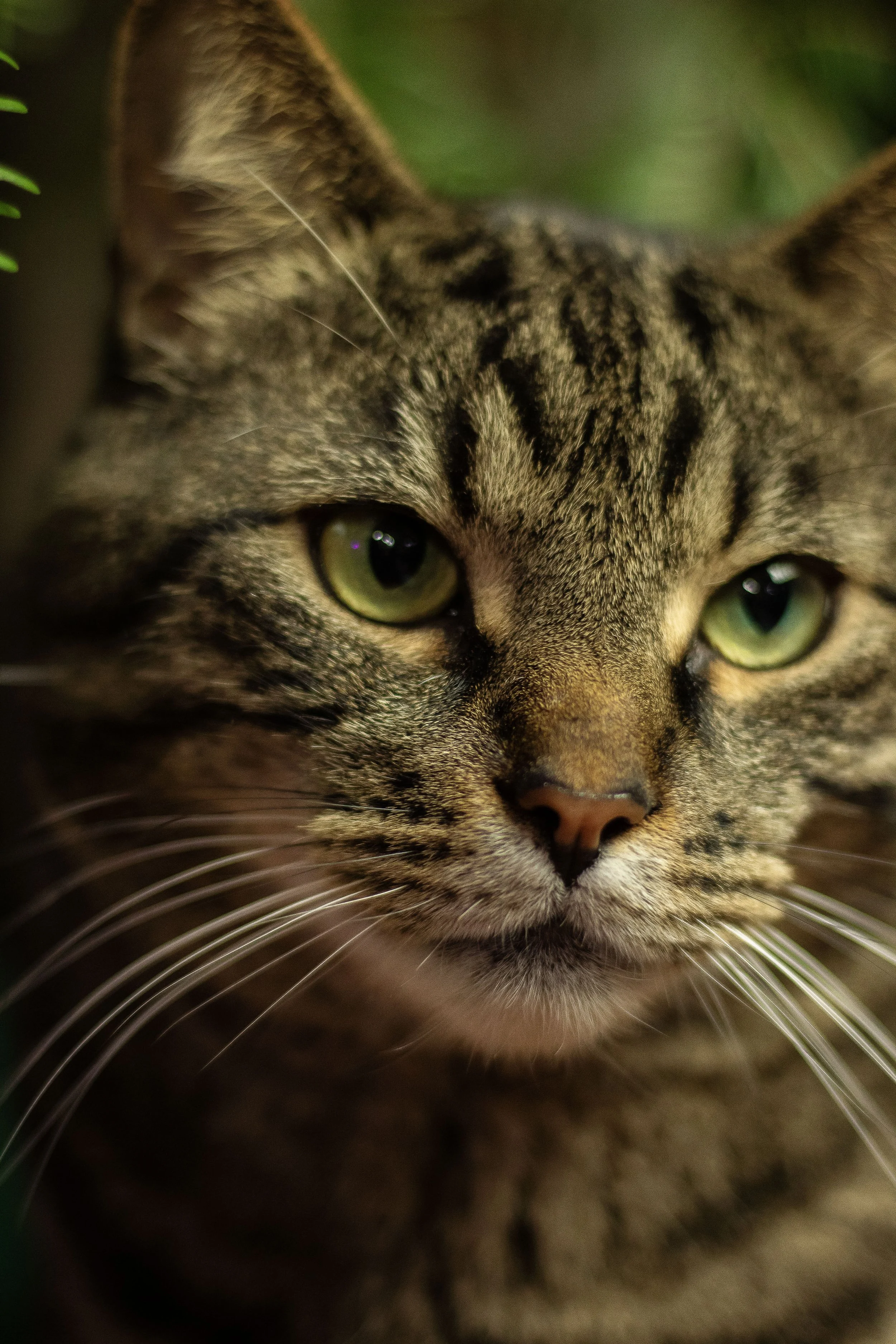 BoushieBabesPhotography_ (23 of 117).JPG