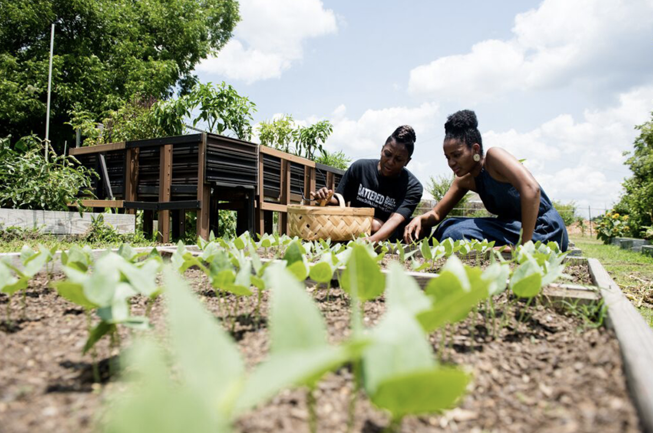 Jillian Hishaw Wants to Help Black Farmers Stay on Their&nbsp;Land