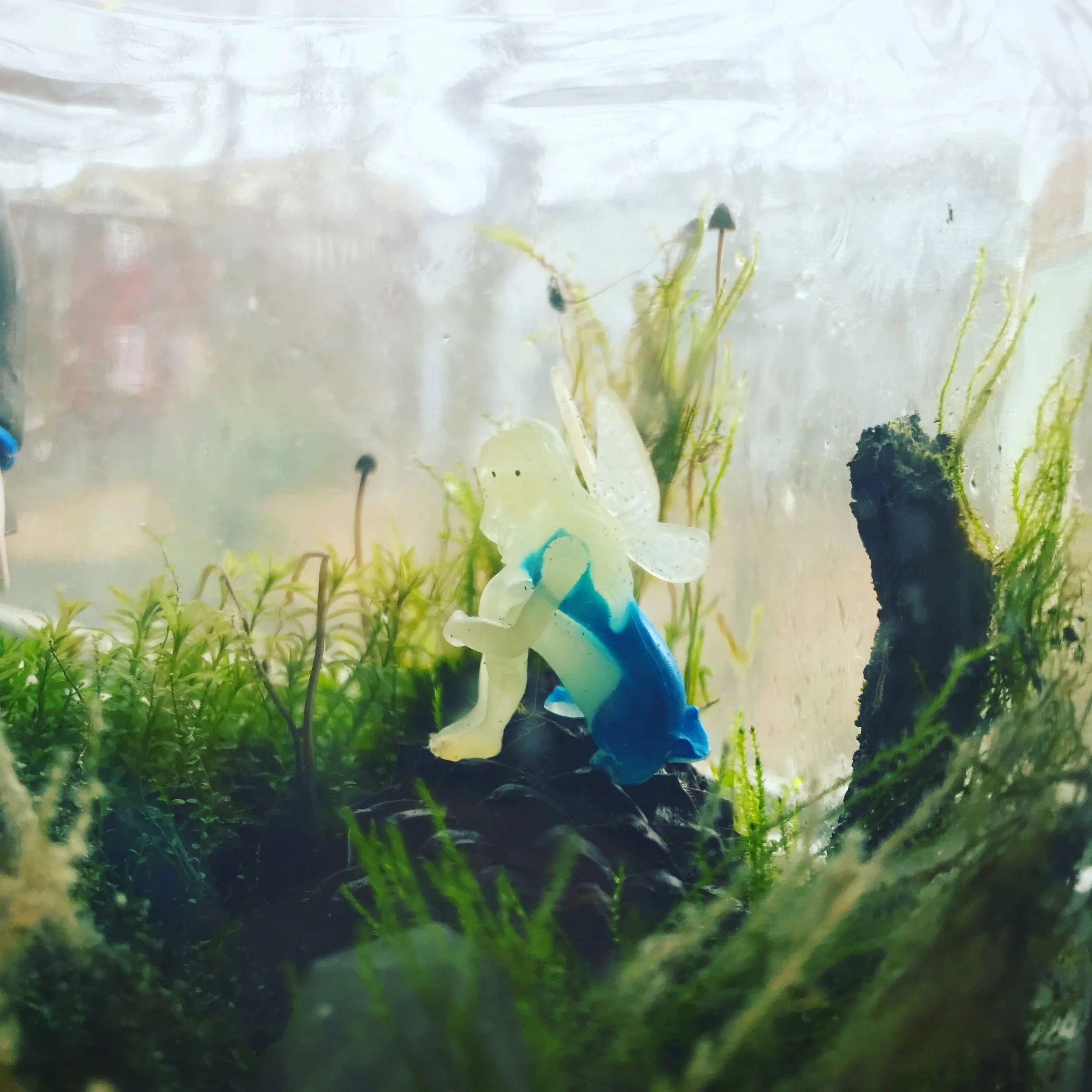 Fairy in Native Terrarium with Mushrooms