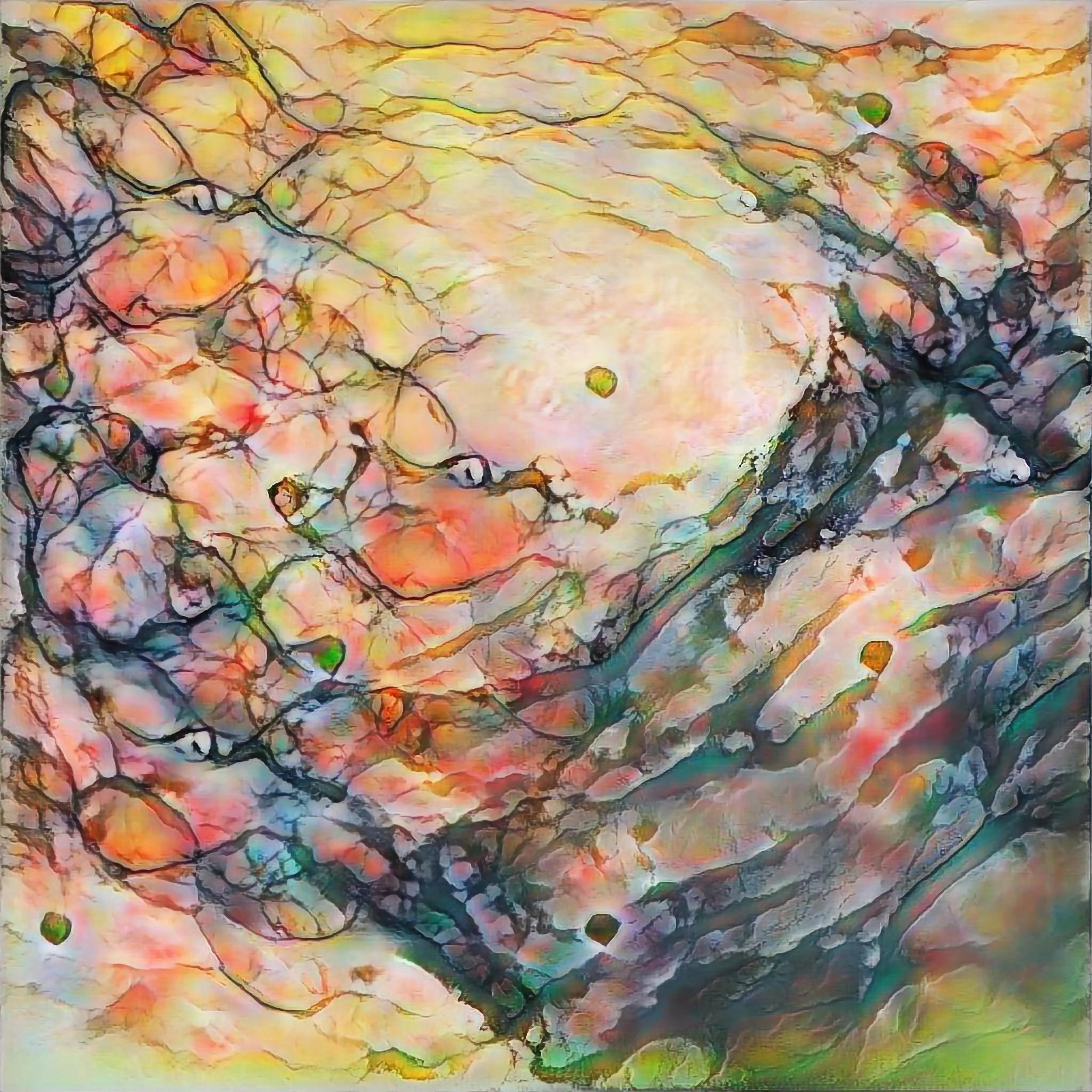 Waveform_2021_046.jpg (Copy) (Copy) (Copy) (Copy) (Copy) (Copy)