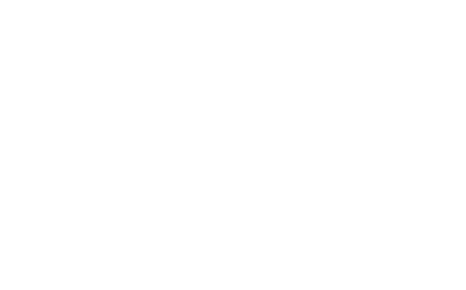 ICA White.png