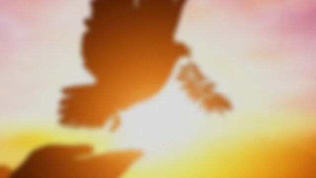 2nd Sunday in Ordinary Time