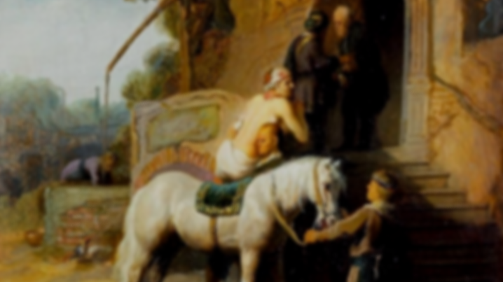 15th Sunday in Ordinary Time