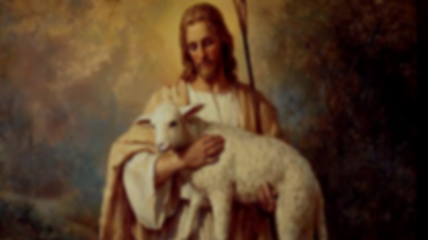 14th Sunday in Ordinary Time
